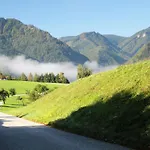 ゲストハウス Lehnerhof Grossraming