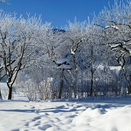 Lehnerhof Casa de hóspedes Grossraming