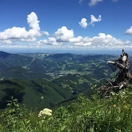Lehnerhof 3*