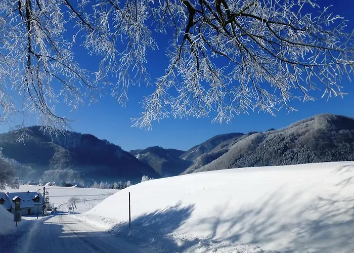 Lehnerhof 게스트하우스 3*