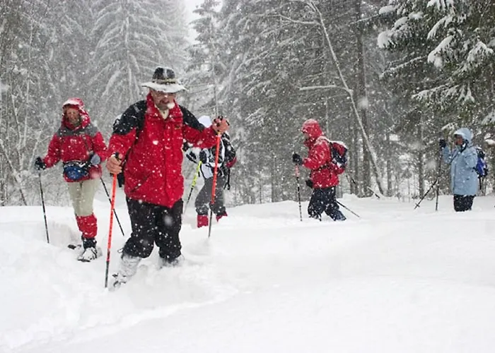 게스트하우스 Lehnerhof