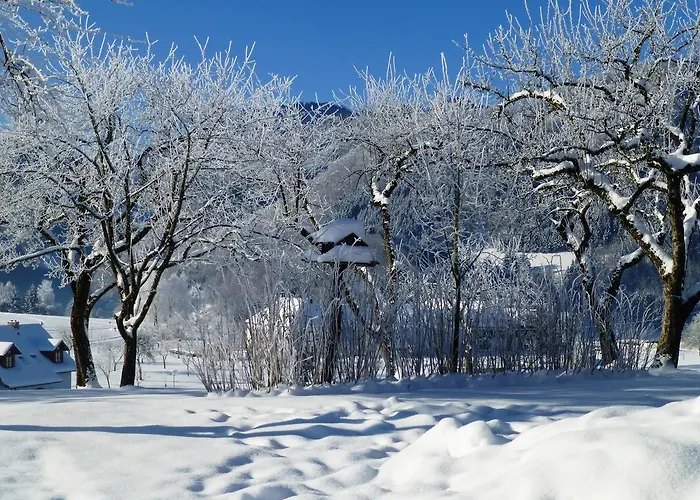 Lehnerhof 게스트하우스 그로스라밍