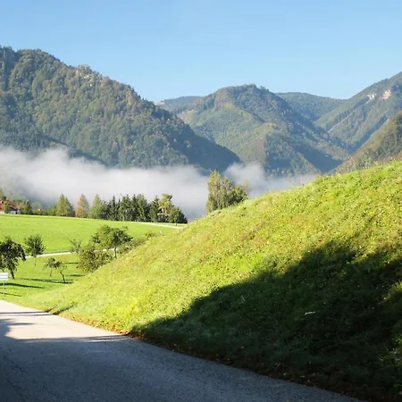 Pensjonat Lehnerhof Grossraming