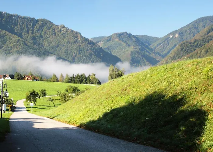 Gasthof Lehnerhof Grossraming