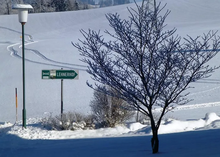 Lehnerhof Gasthof 3*